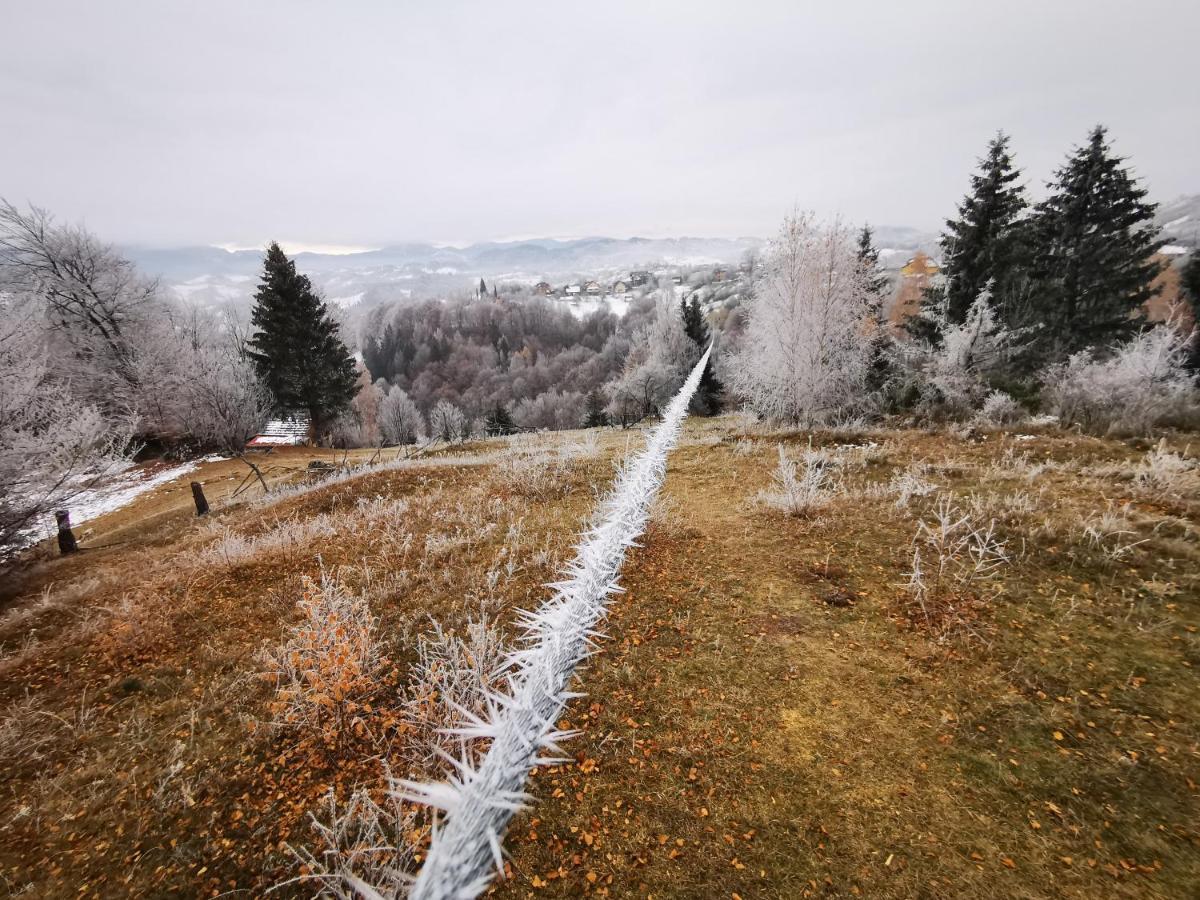 Pensiunea Tabacaru Peştera エクステリア 写真