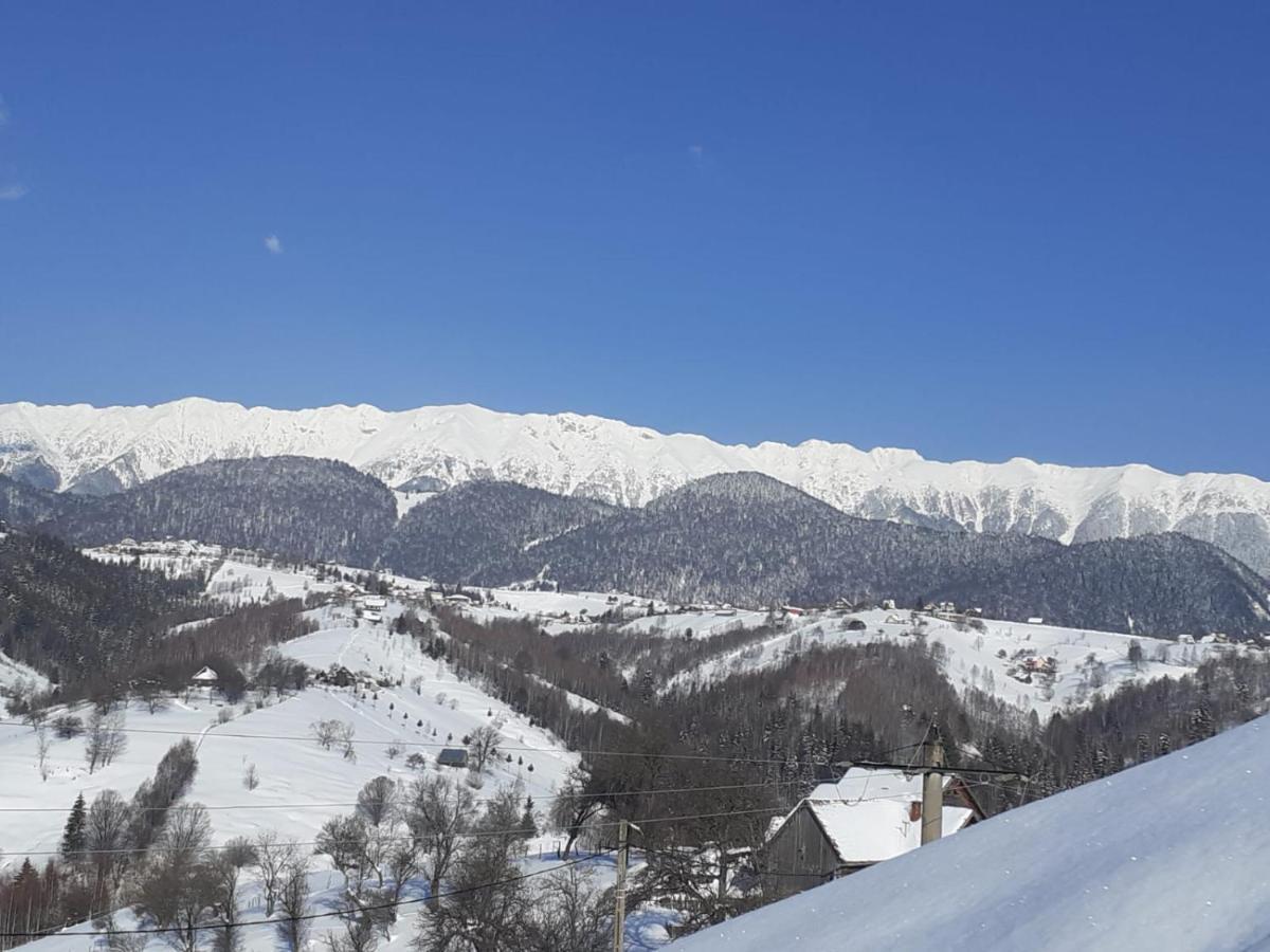 Pensiunea Tabacaru Peştera エクステリア 写真