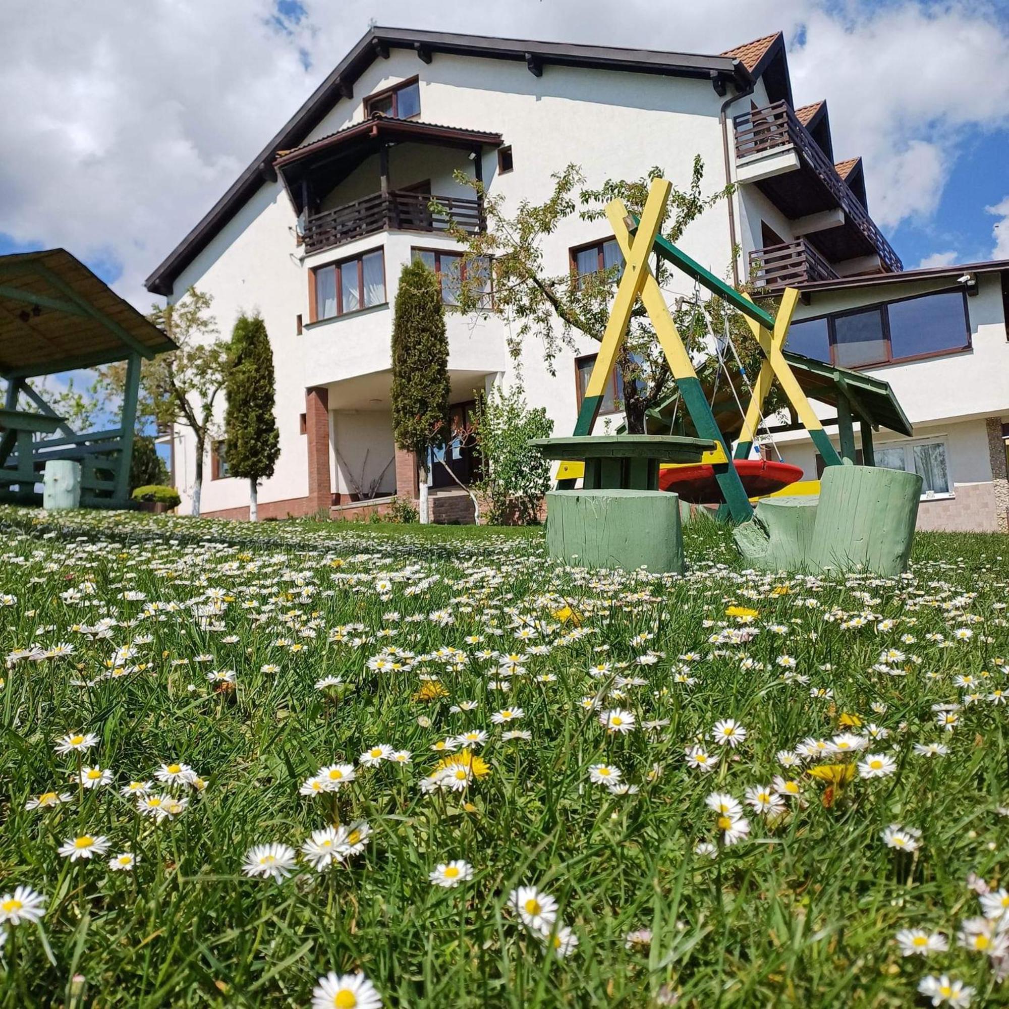 Pensiunea Tabacaru Peştera エクステリア 写真