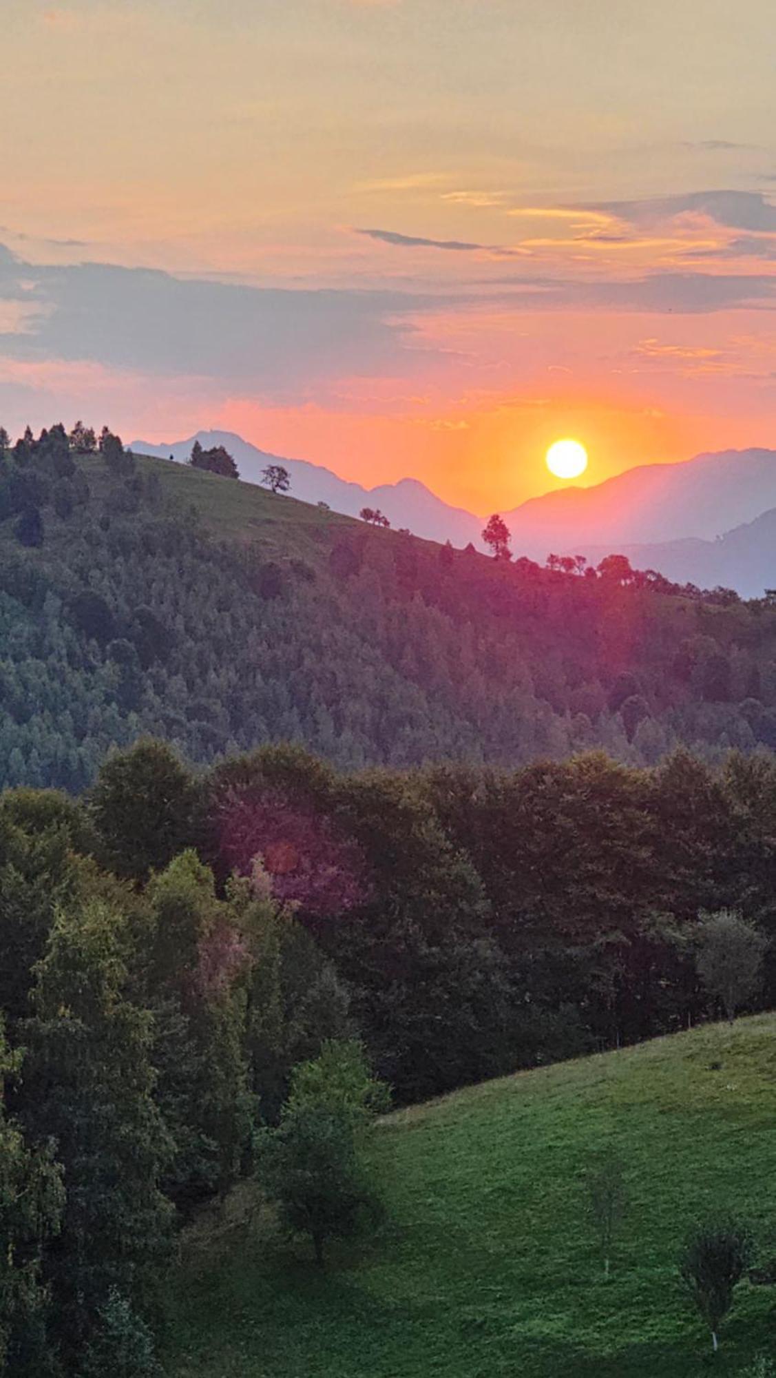 Pensiunea Tabacaru Peştera エクステリア 写真