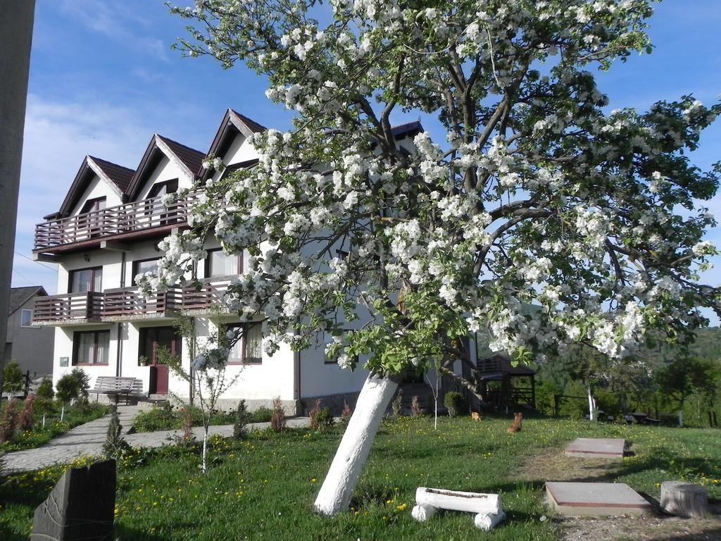 Pensiunea Tabacaru Peştera エクステリア 写真