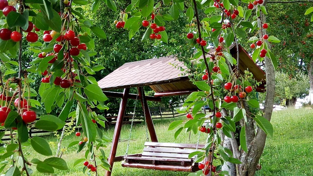 Pensiunea Tabacaru Peştera エクステリア 写真