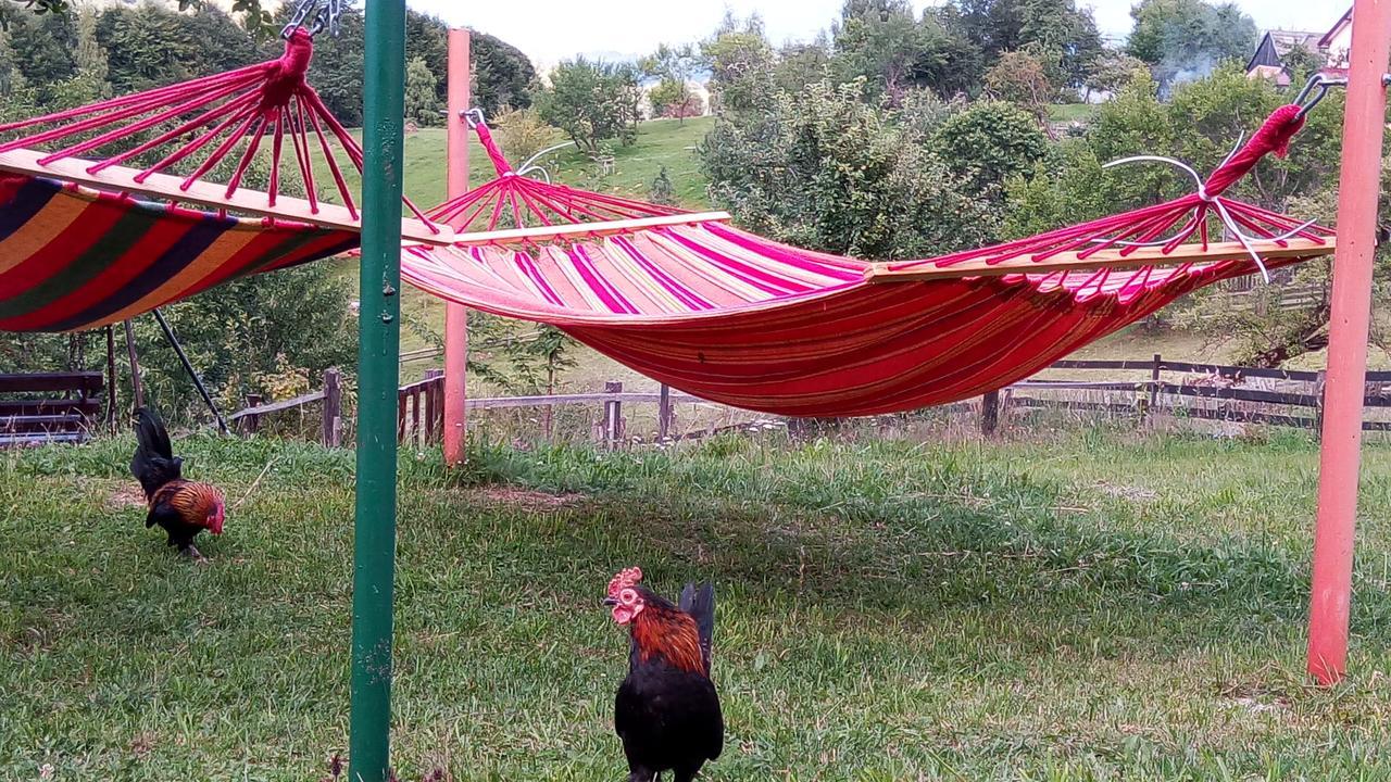 Pensiunea Tabacaru Peştera エクステリア 写真