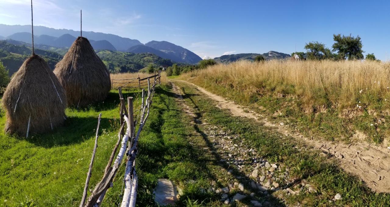 Pensiunea Tabacaru Peştera エクステリア 写真