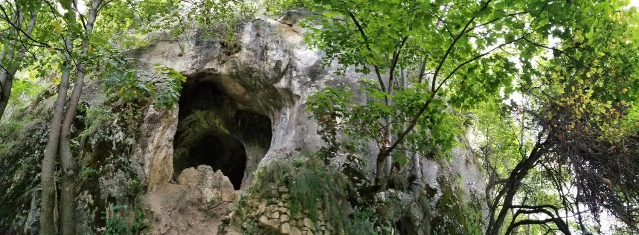 Pensiunea Tabacaru Peştera エクステリア 写真